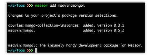 Adding the mongol package to your app.\label